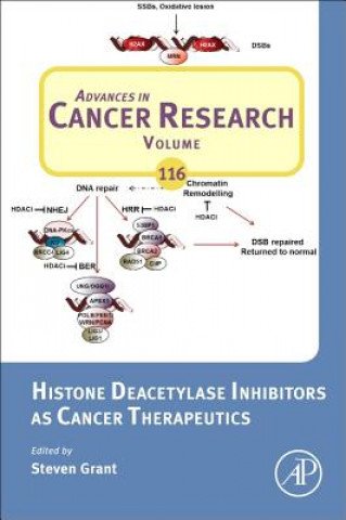 Książka Histone Deacetylase Inhibitors as Cancer Therapeutics Steven Grant