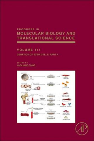 Könyv Genetics of Stem Cells Yaoliang Tang