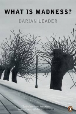 Carte What is Madness? Darian Leader