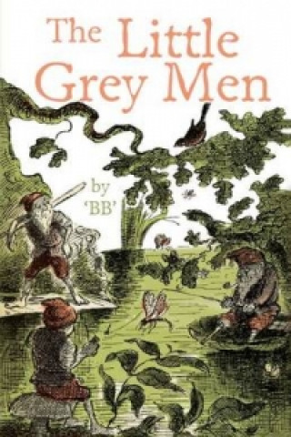 Kniha Little Grey Men B.B
