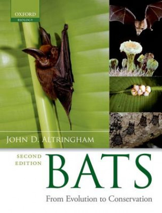 Książka Bats John D Altringham