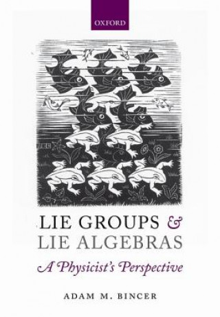 Buch Lie Groups and Lie Algebras - A Physicist's Perspective Adam M Bincer