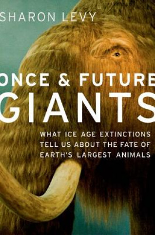 Книга Once and Future Giants Sharon Levy