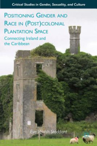 Buch Positioning Gender and Race in (Post)colonial Plantation Space Eve Walsh Stoddard