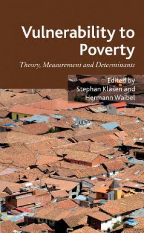 Knjiga Vulnerability to Poverty Stephan Klasen