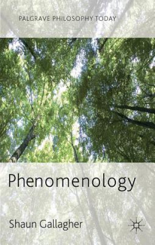 Kniha Phenomenology Shaun Gallagher