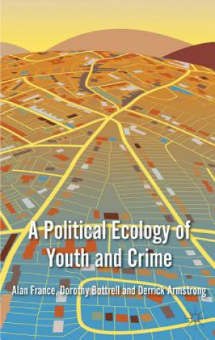 Książka Political Ecology of Youth and Crime Dorothy Bottrell