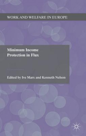 Kniha Minimum Income Protection in Flux Ive Marx