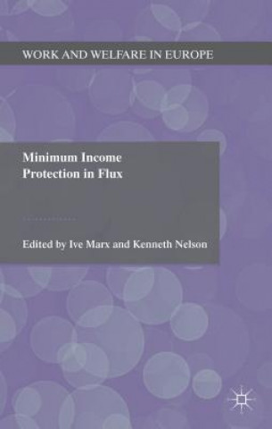 Könyv Minimum Income Protection in Flux Ive Marx