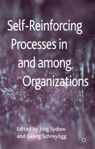 Könyv Self-Reinforcing Processes in and among Organizations Jörg Sydow