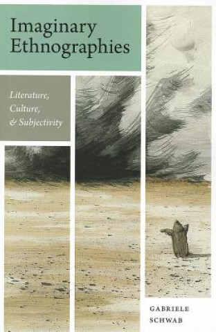 Book Imaginary Ethnographies Schwab