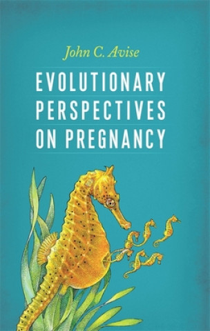 Kniha Evolutionary Perspectives on Pregnancy Avise