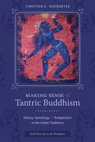 Kniha Making Sense of Tantric Buddhism Wedemeyer