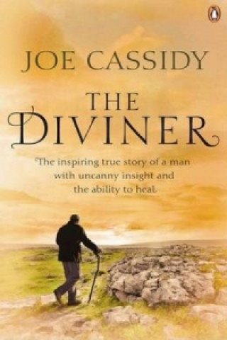 Könyv Diviner Joe Cassidy