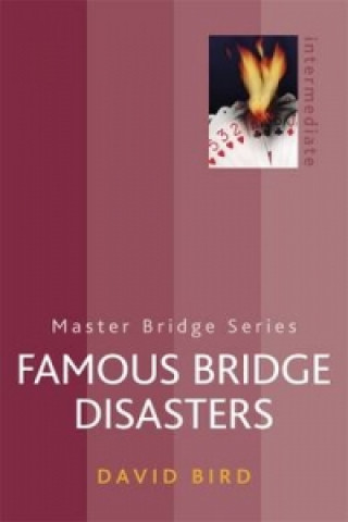 Kniha Famous Bridge Disasters David Bird