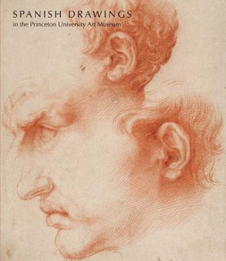 Book Spanish Drawings in the Princeton University Art Museum Lisa A Banner