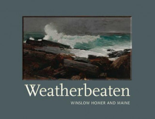 Kniha Weatherbeaten Thomas A Denenberg