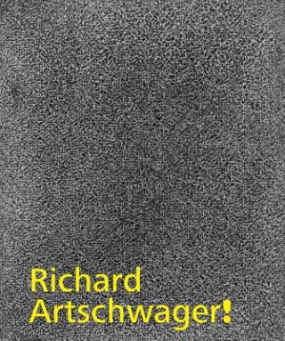 Könyv Richard Artschwager! Jennifer R Gross