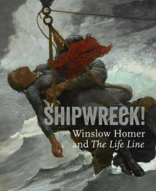 Kniha Shipwreck! Winslow Homer and "The Life Line" Kathleen A Foster