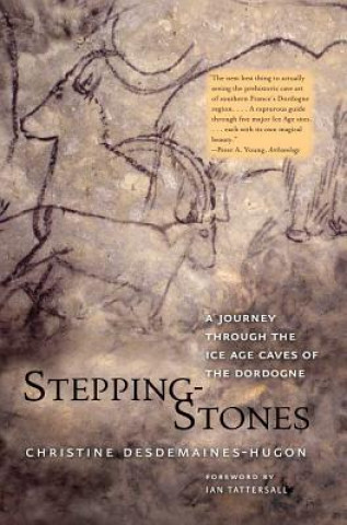Knjiga Stepping-Stones Christine Desdemaines Hugon
