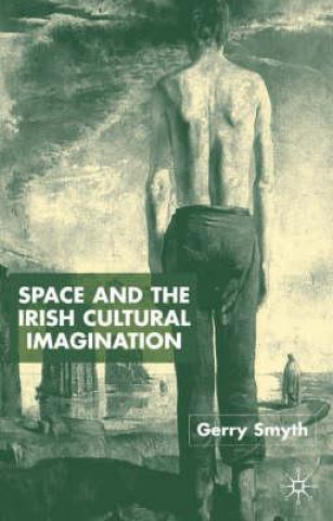 Kniha Space and the Irish Cultural Imagination Gerry Smyth