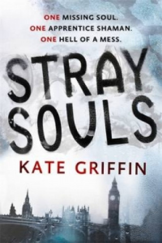 Kniha Stray Souls Kate Griffin