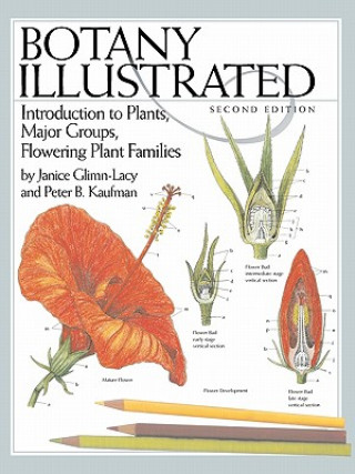 Книга Botany Illustrated Janice Glimn-Lacy
