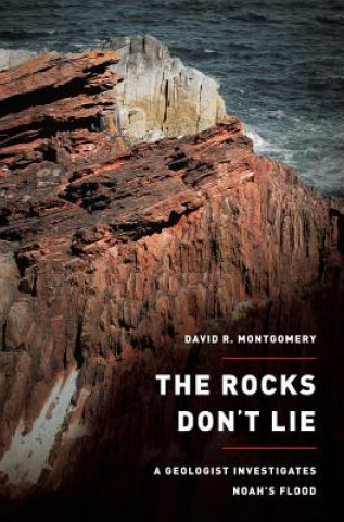 Kniha Rocks Don't Lie David R Montgomery