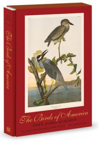 Książka Birds of America John James Audobon