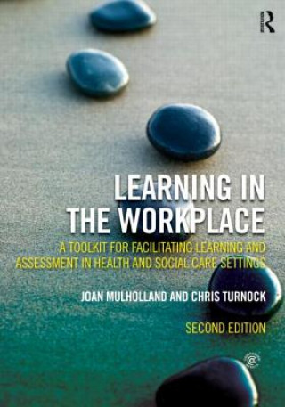 Könyv Learning in the Workplace Joan Mulholland