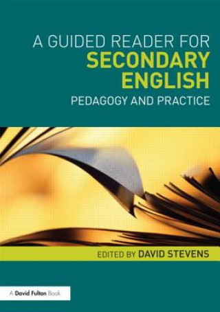 Könyv Guided Reader for Secondary English David Stevens