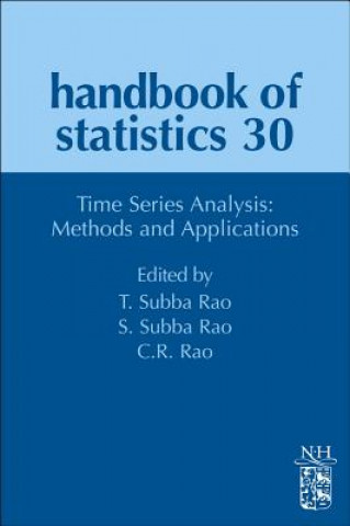 Książka Time Series Analysis: Methods and Applications C R Rao