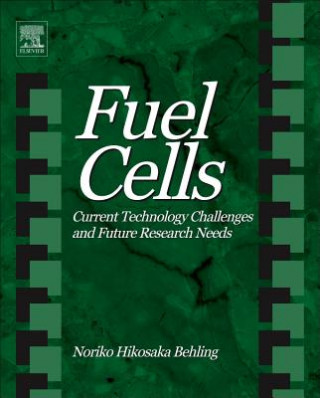 Carte Fuel Cells Noriko Hikosaka Behling