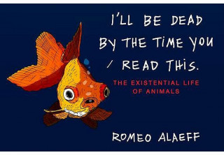 Kniha I'll be Dead by the Time You Read This Romeo Alaeff