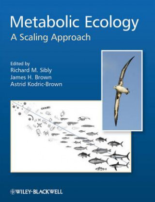 Könyv Metabolic Ecology - A Scaling Approach Richard M Sibly