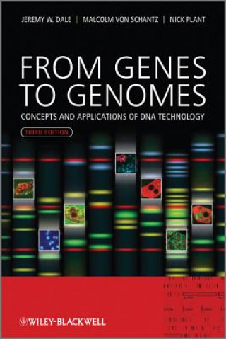 Könyv From Genes to Genomes - Concepts and Applications of DNA Technology 3e Jeremy Dale