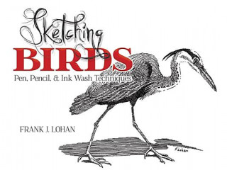 Carte Sketching Birds Frank Lohan