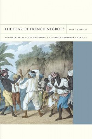 Kniha Fear of French Negroes Sara E Johnson