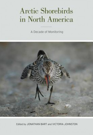 Carte Arctic Shorebirds in North America Jonathan Bart