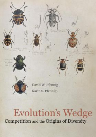 Carte Evolution's Wedge David W Pfennig