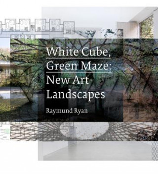 Книга White Cube, Green Maze Raymund Ryan