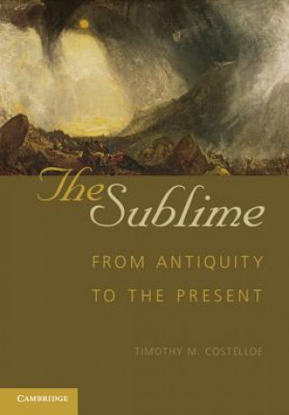 Knjiga Sublime Timothy M Costelloe