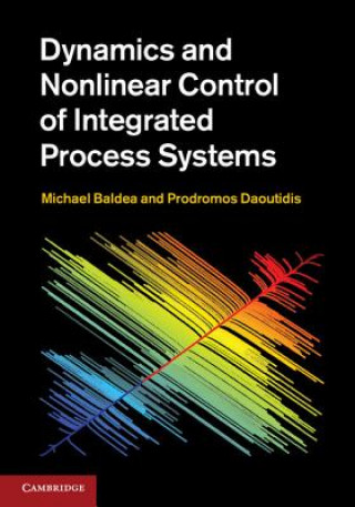 Книга Dynamics and Nonlinear Control of Integrated Process Systems Michael Baldea