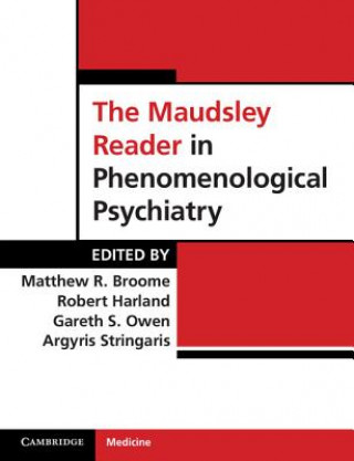 Kniha Maudsley Reader in Phenomenological Psychiatry Matthew Broome