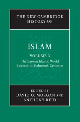 Carte New Cambridge History of Islam David O Morgan