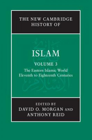 Book New Cambridge History of Islam David O Morgan