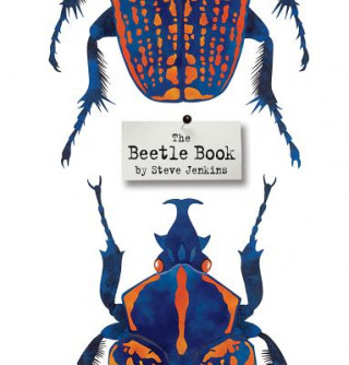 Livre Beetle Book Steve Jenkins