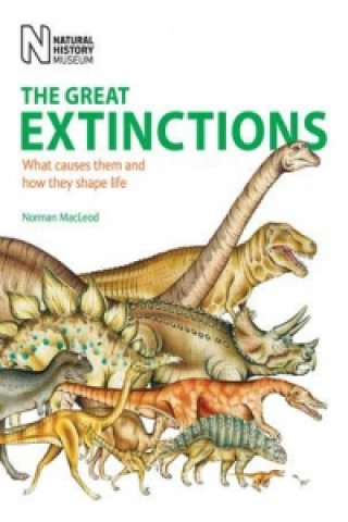 Kniha Great Extinctions Norman MacLeod