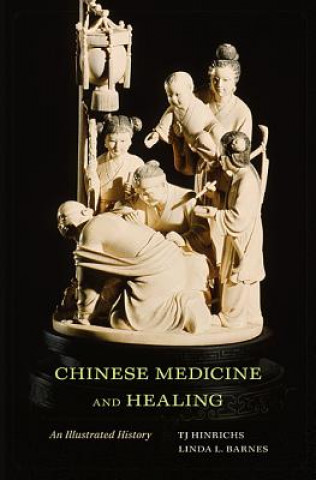 Книга Chinese Medicine and Healing TJ Hinrichs