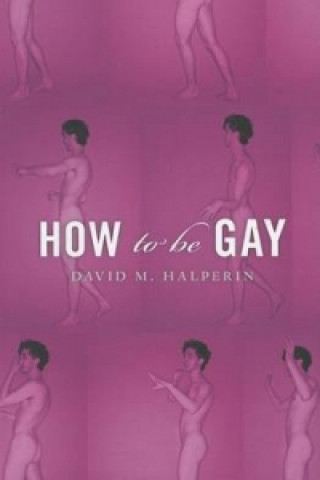 Könyv How to be Gay David Halpertin